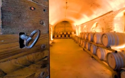 Urlaub auf dem Weingut in der Toskana für Weinliebhaber