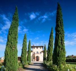 Urlaub im Weingut: Landgut Terricciola