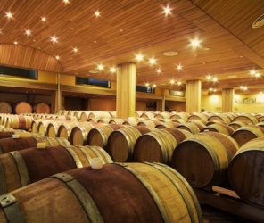 Urlaub im Weingut: Barrique-Keller im Landgut Terricciola