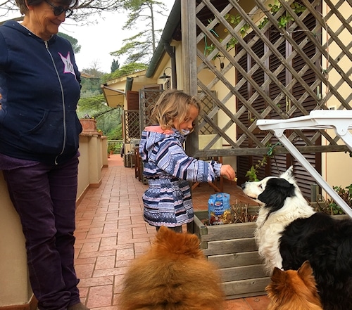 "Anita and her four-legged friends" © J. Thumser & M. Wahlert