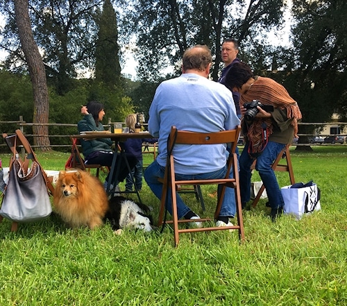 "Lancy and Sunny are always close to their master or mistress." © J. Thumser & M. Wahlert