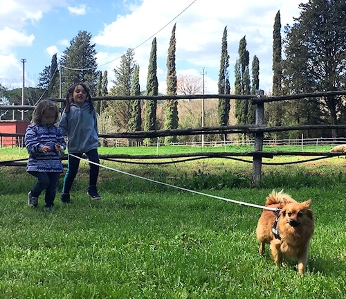 "Anita and her cousin have a lot of fun walking Luna on a leash." © J. Thumser & M. Wahlert