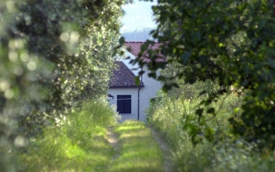 Agriturismo Serravalle (22)