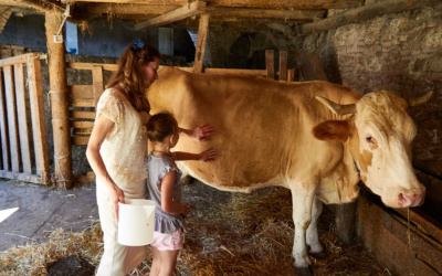 Biodynamische Käserei (43)