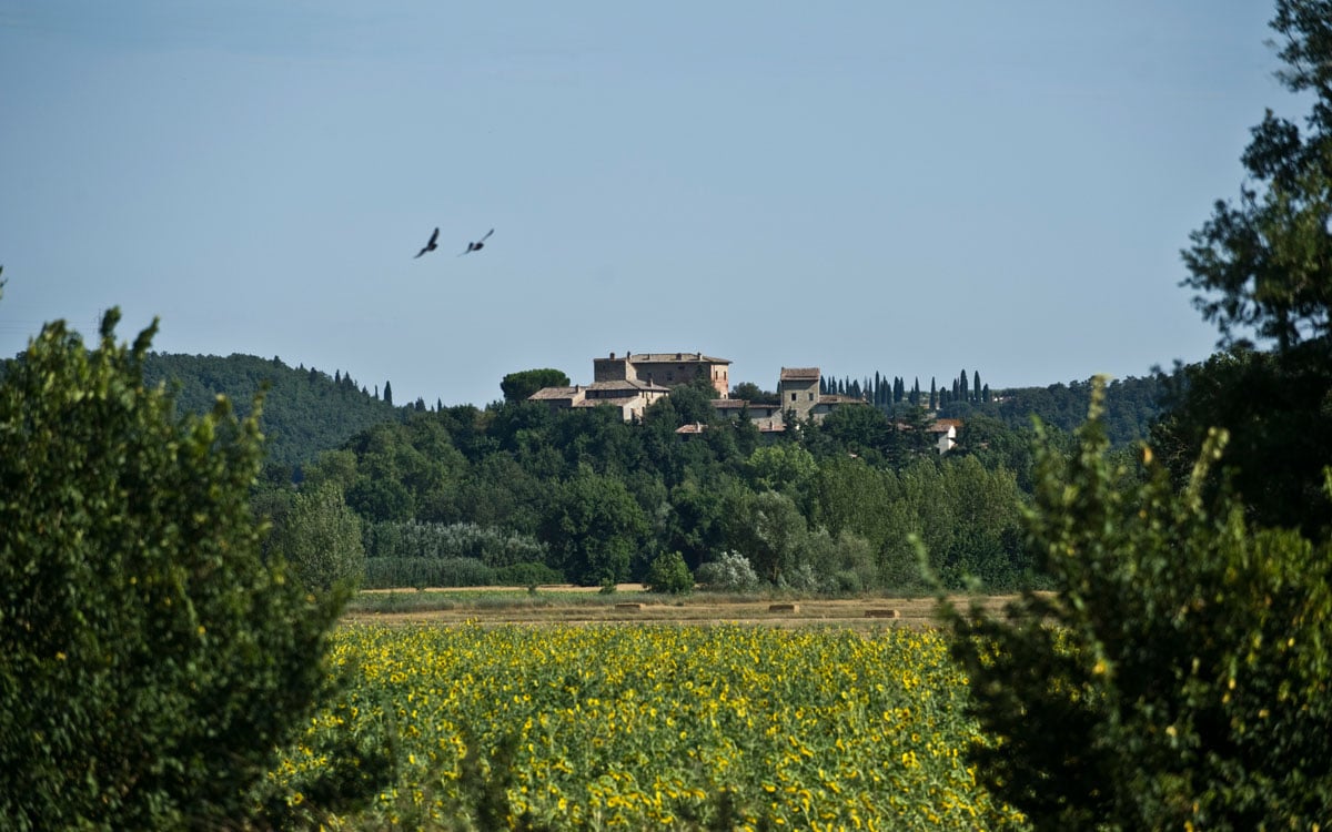 Burg Umbrien (13) Burg Umbrien (13)