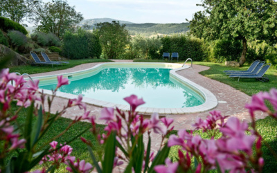 Burg Umbrien, Swimmingpool (4)