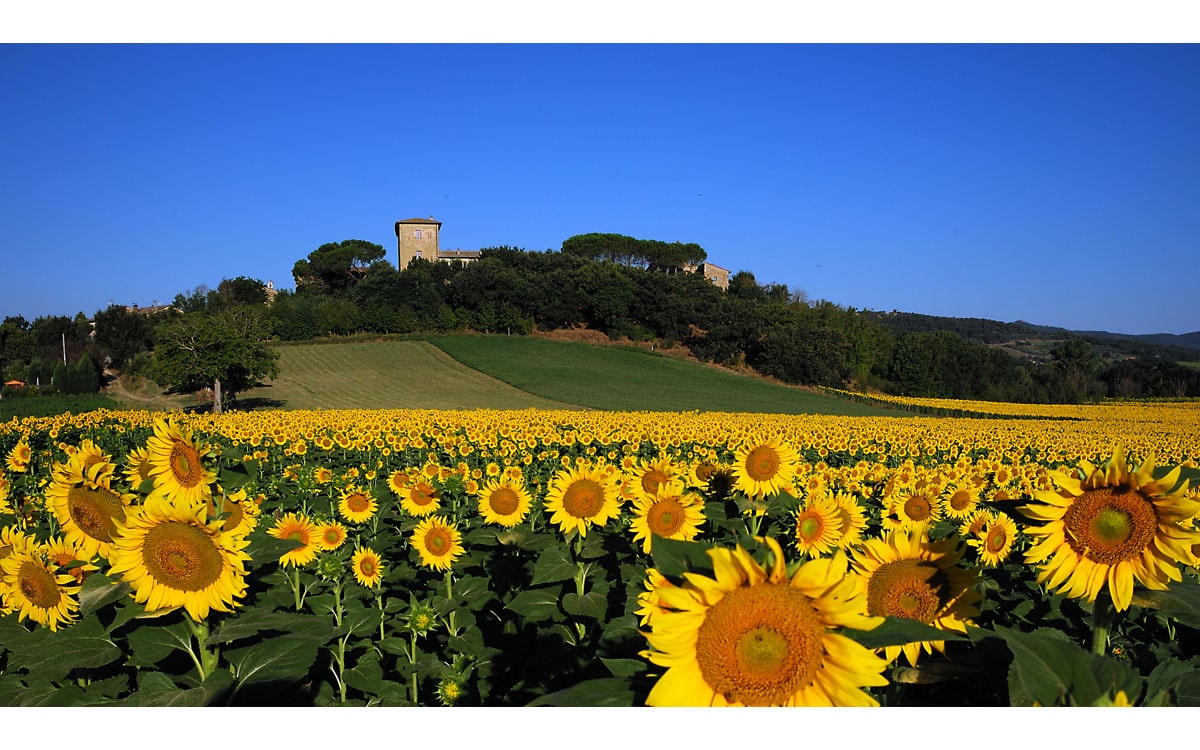 Burg Umbrien (4) Burg Umbrien (4)