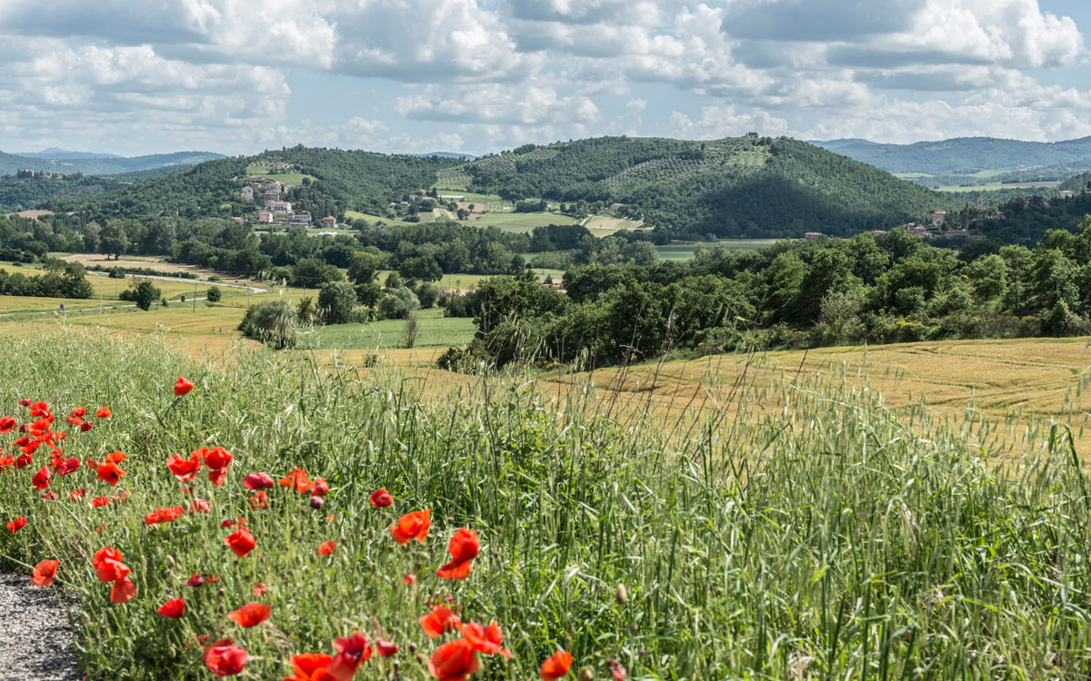 Burg Umbrien (12) Burg Umbrien (12)
