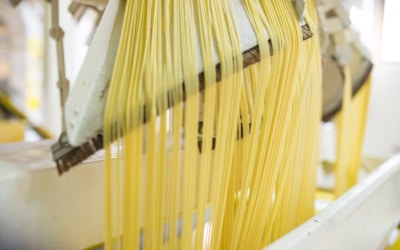 Degustacja oliwy z oliwek w Toskanii (12)