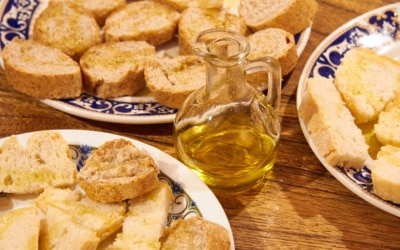 Olivenölverkostung in der Toskana (20)