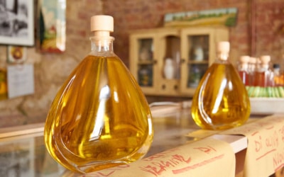 Olivenölverkostung in der Toskana (5)
