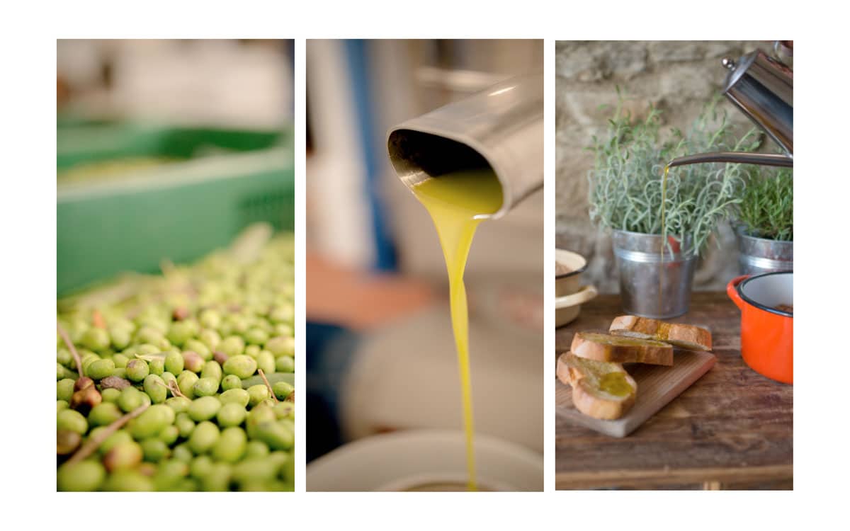 Olivenölverkostung in der Toskana
