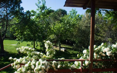 Bio Agriturismo Pomarance 2 (17)