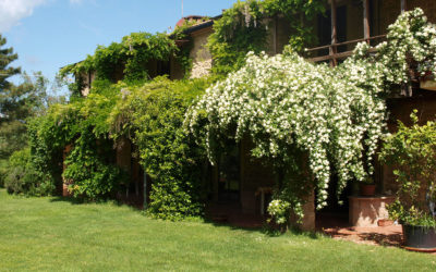 Bio Agriturismo Pomarance 2 (34)