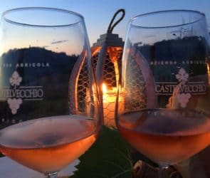 Weingut in Terricciola: Abendessen im Weinberg Viel mehr als nur Trauben – Weingut 11