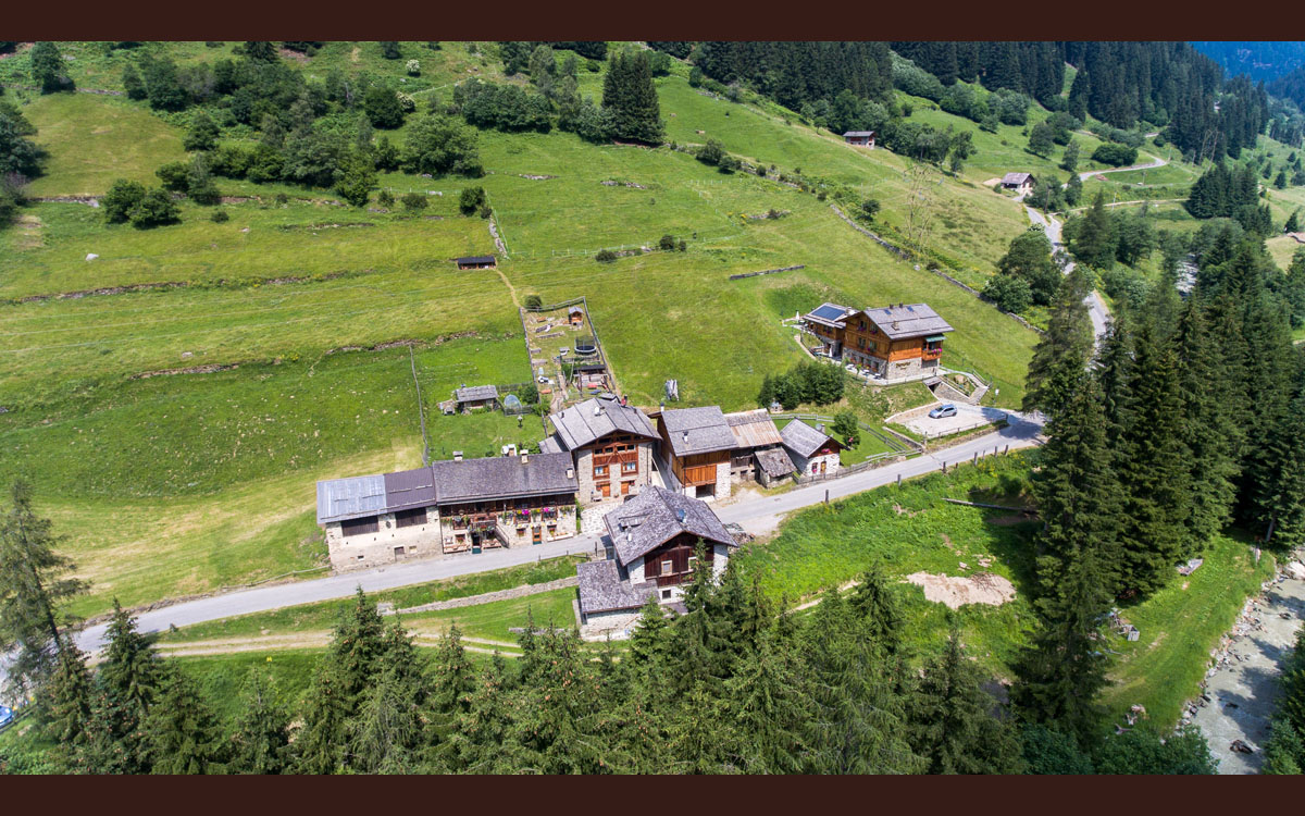 Bio-Wellness_Chalet_Pejo_1 (4) Bio-Wellness_Chalet_Pejo_1 (4)