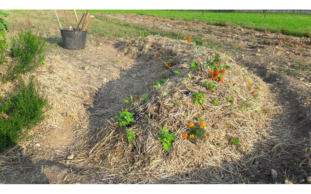 Villa_Comano_(10) Villa_Comano_(10)