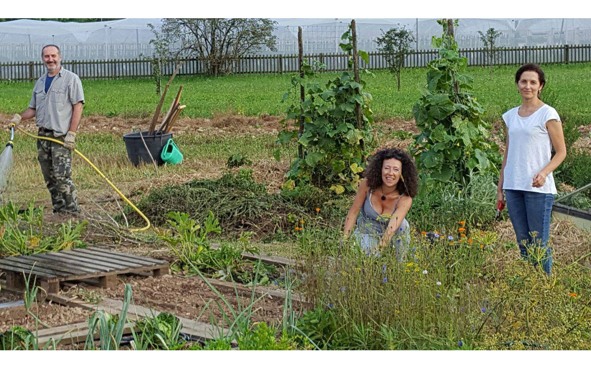 Villa_Comano_(11) Villa_Comano_(11)