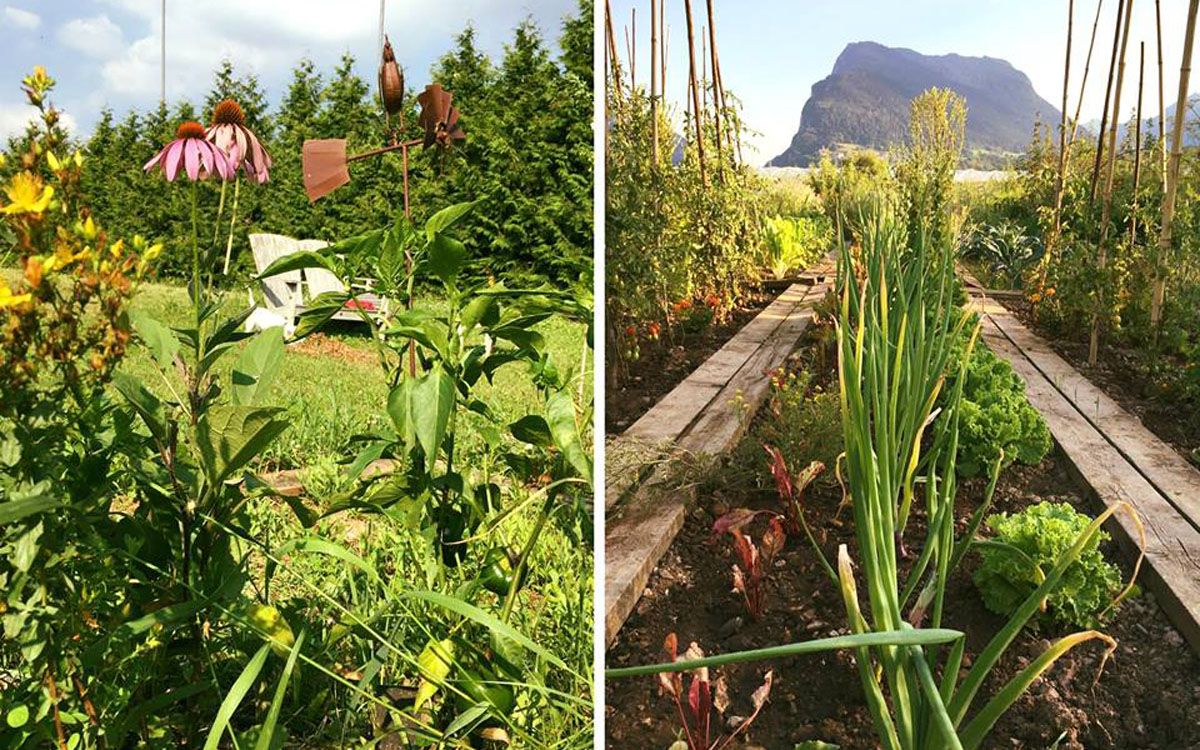 Villa_Comano_(12) Villa_Comano_(12)