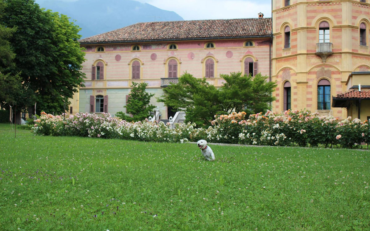 Villa_Comano_(3) Villa_Comano_(3)