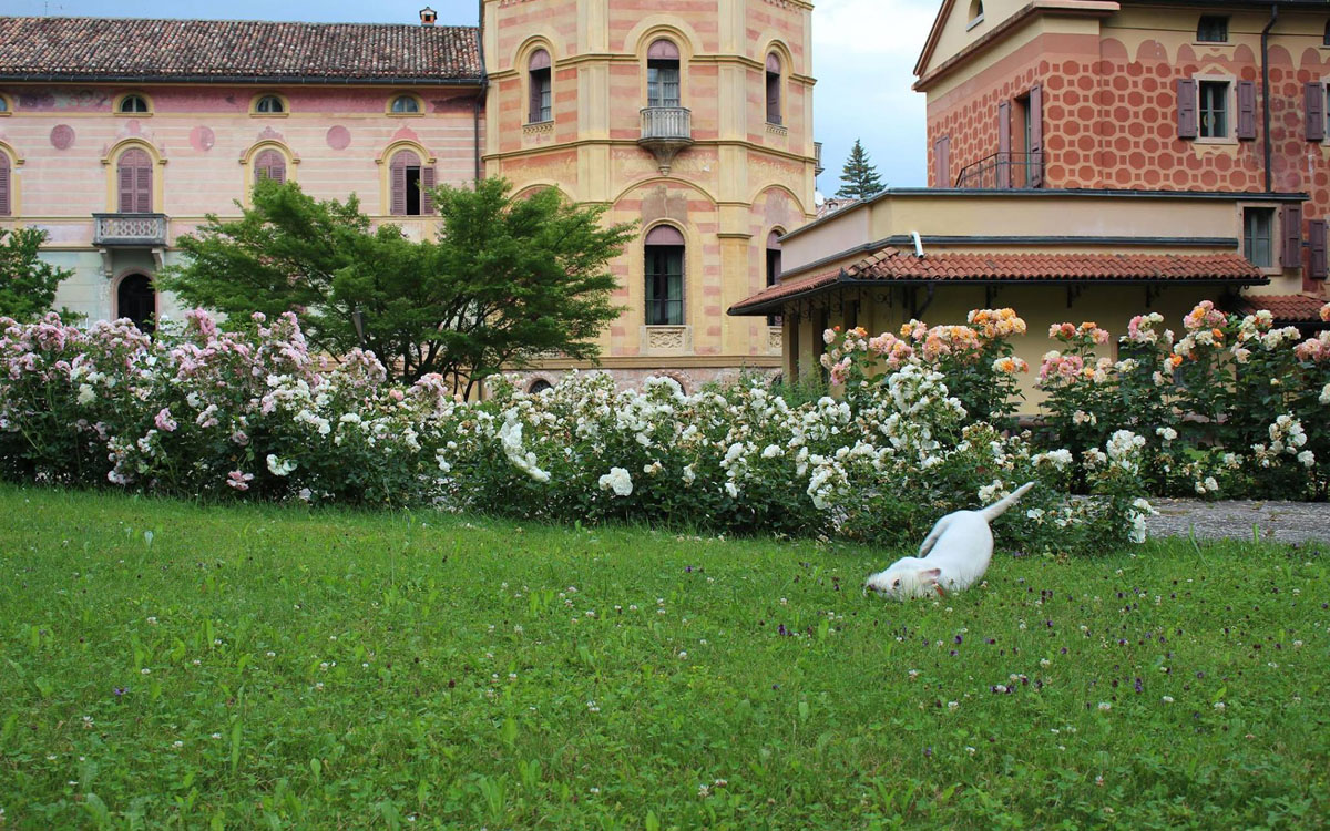 Villa_Comano_(5) Villa_Comano_(5)