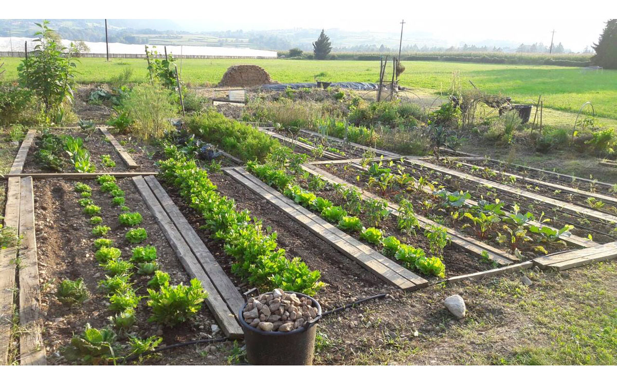 Villa_Comano_(8) Villa_Comano_(8)