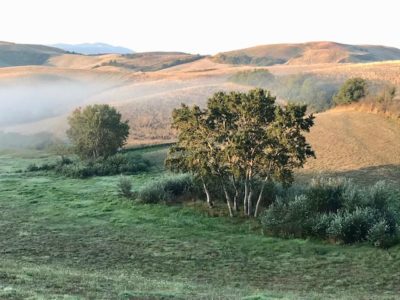 Ferienhaus In Toscana - Morgenstunde