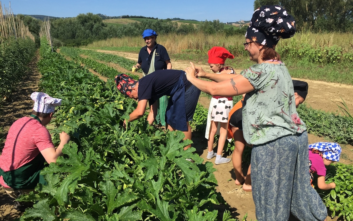 Bio-Kochkurs 3 ~ im Bio-Gemüsegarten Bio-Kochkurs 3 ~ im Bio-Gemüsegarten