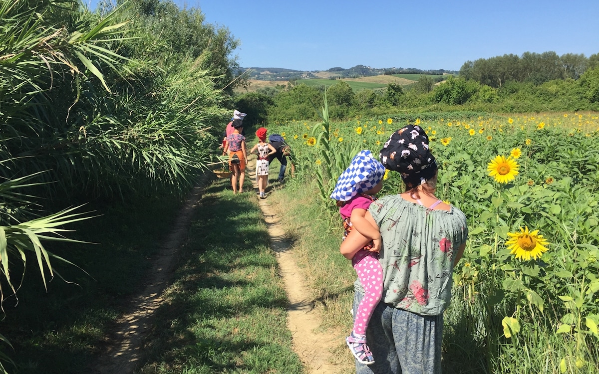 Bio-Kochkurs 4 ~ im Bio-Gemüsegarten Bio-Kochkurs 4 ~ im Bio-Gemüsegarten