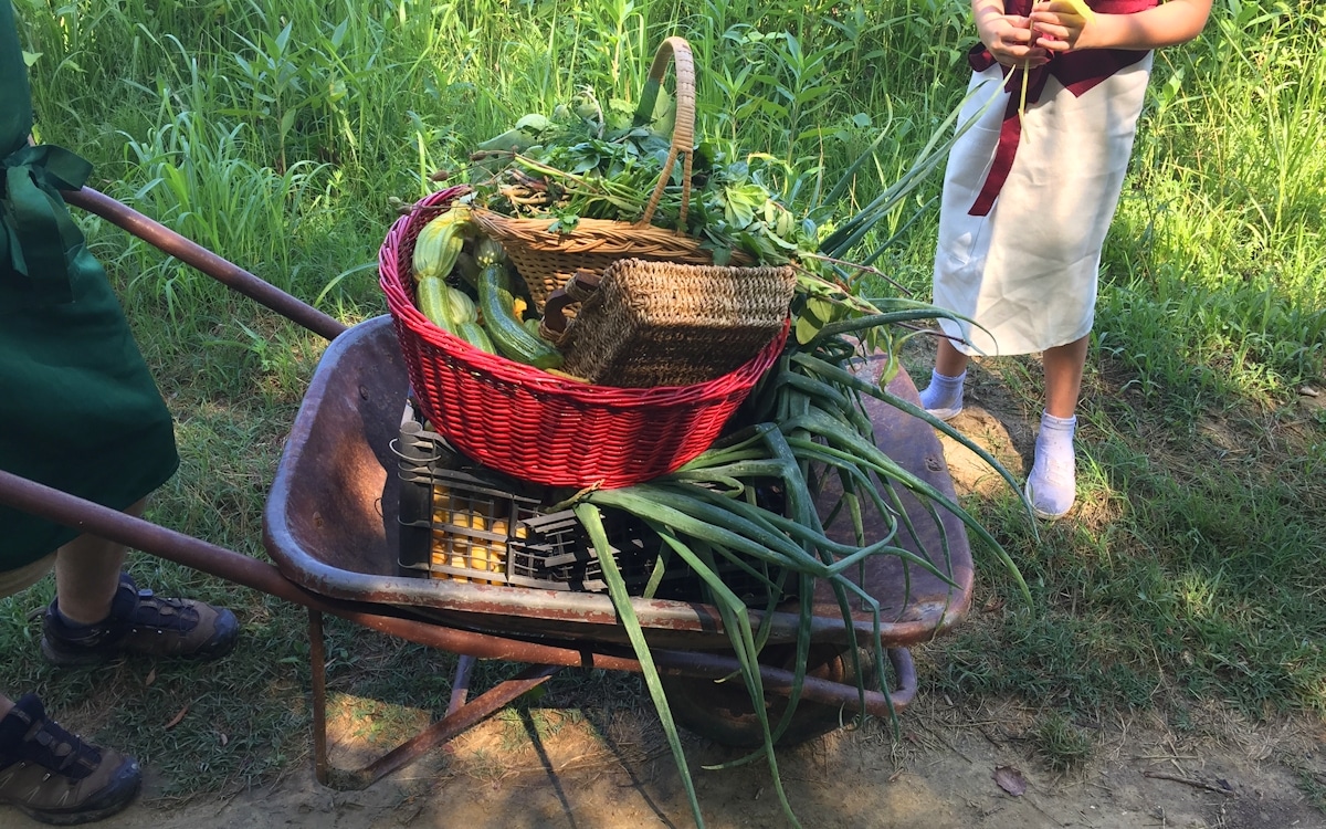 Bio-Kochkurs 5 ~ im Bio-Gemüsegarten Bio-Kochkurs 5 ~ im Bio-Gemüsegarten