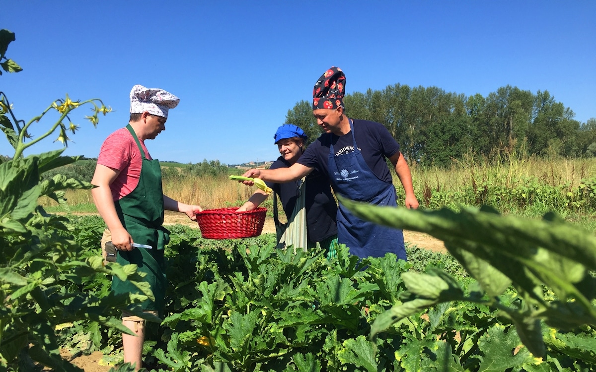 Bio-Kochkurs 6 ~ im Bio-Gemüsegarten Bio-Kochkurs 6 ~ im Bio-Gemüsegarten