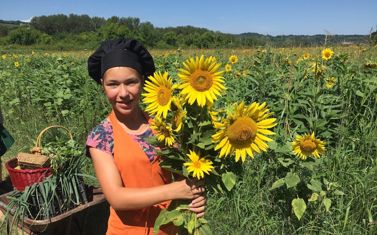 Bio-Kochkurs 8 ~ Sonnenblumen im Bio-Gemüsegarten Bio-Kochkurs 8 ~ Sonnenblumen im Bio-Gemüsegarten
