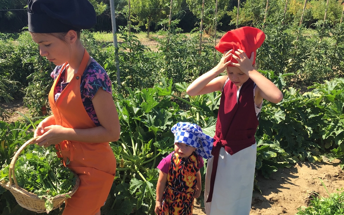 Bio-Kochkurs 9 ~ im Bio-Gemüsegarten Bio-Kochkurs 9 ~ im Bio-Gemüsegarten