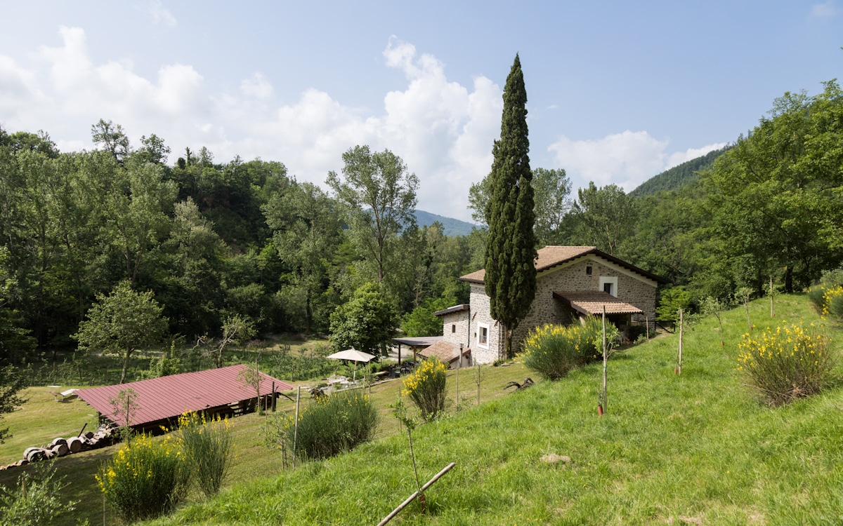 Bio-Agriturismo Fivizzano 1 (2) Bio-Agriturismo Fivizzano 1 (2)