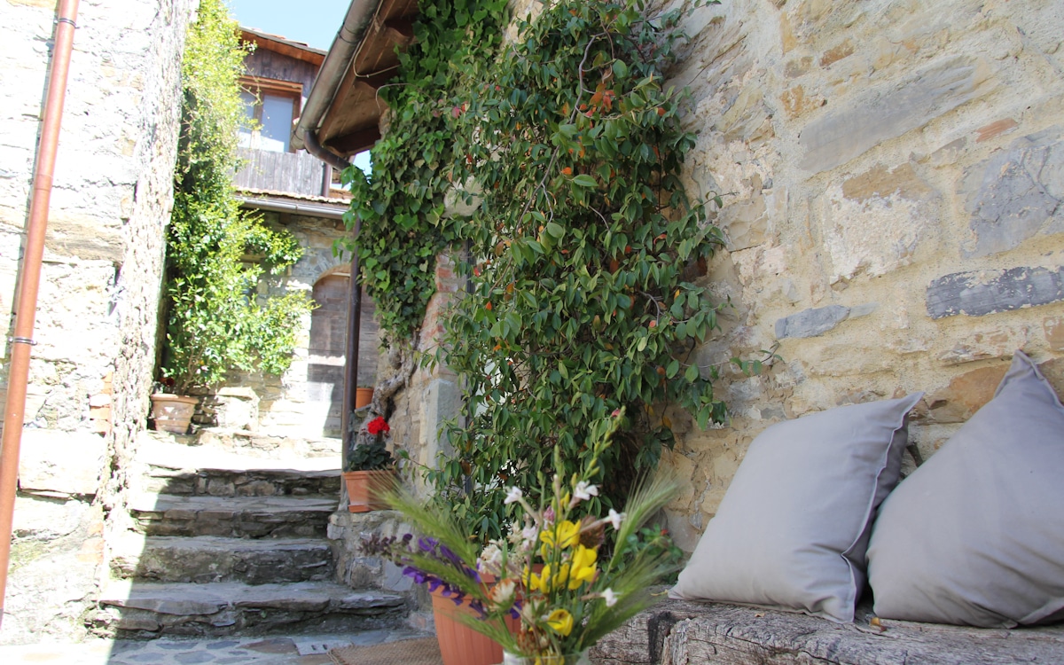Borgo Quarrazzana Innenhof (6) Borgo Quarrazzana Innenhof (6)