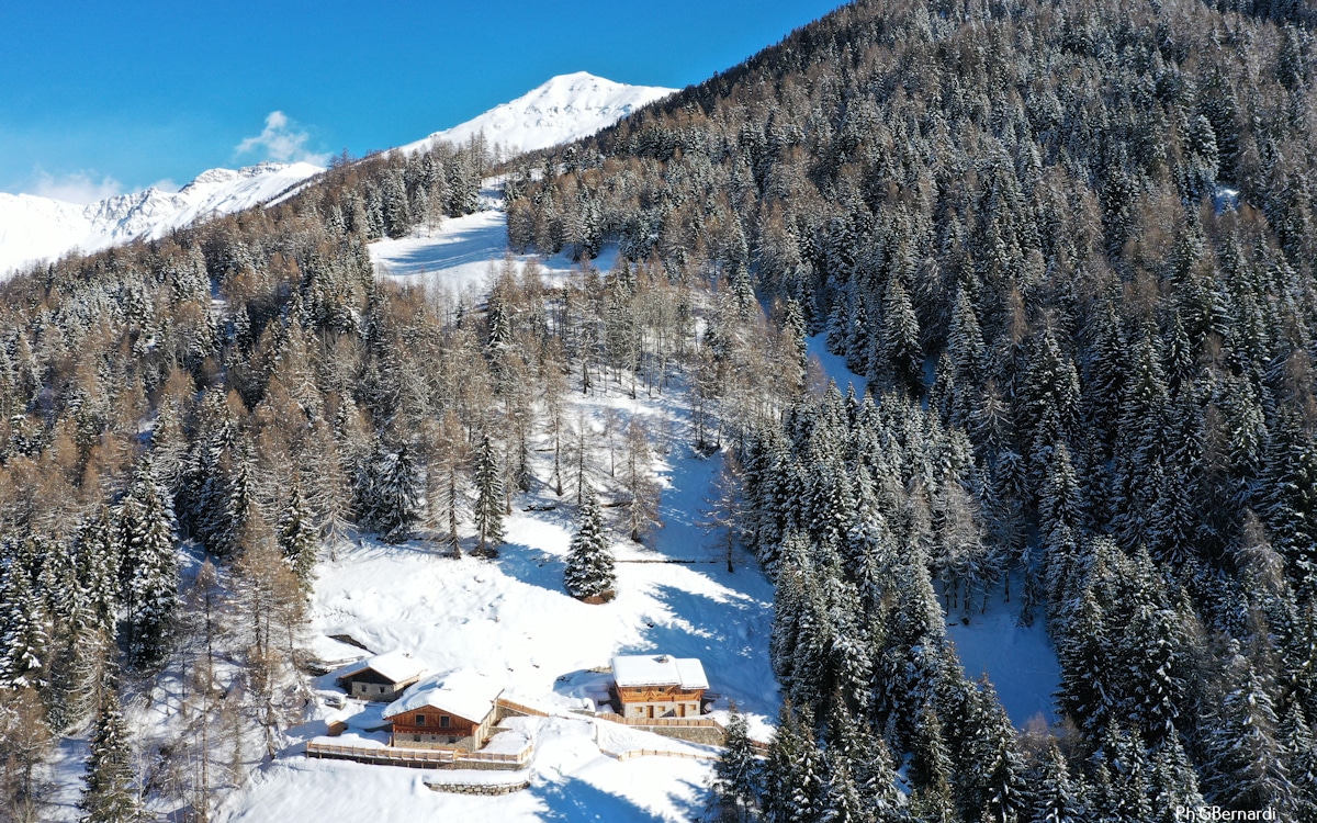 Drei Chalets in Trentino-Südtirol Drei Chalets in Trentino-Südtirol