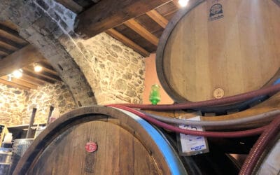 Weinprobe in Bolgheri - Weinkeller (17)