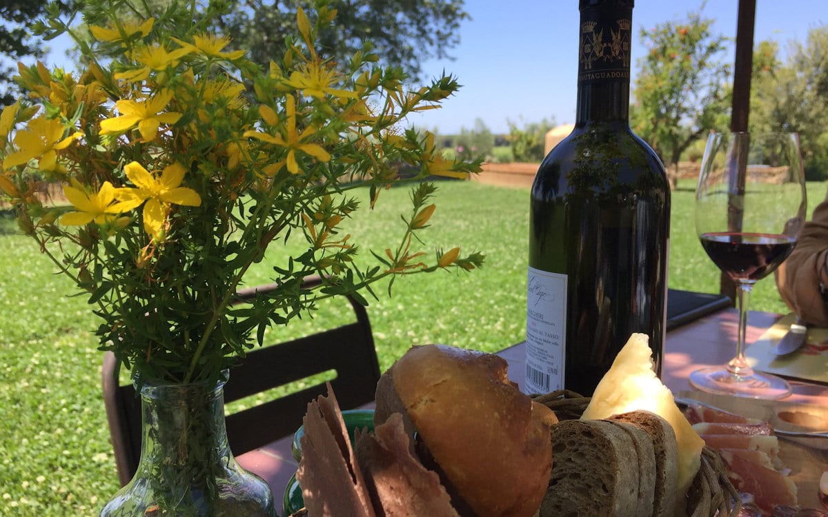 Weinprobe in Bolgheri - Weinkeller (21) Weinprobe in Bolgheri - Weinkeller (21)