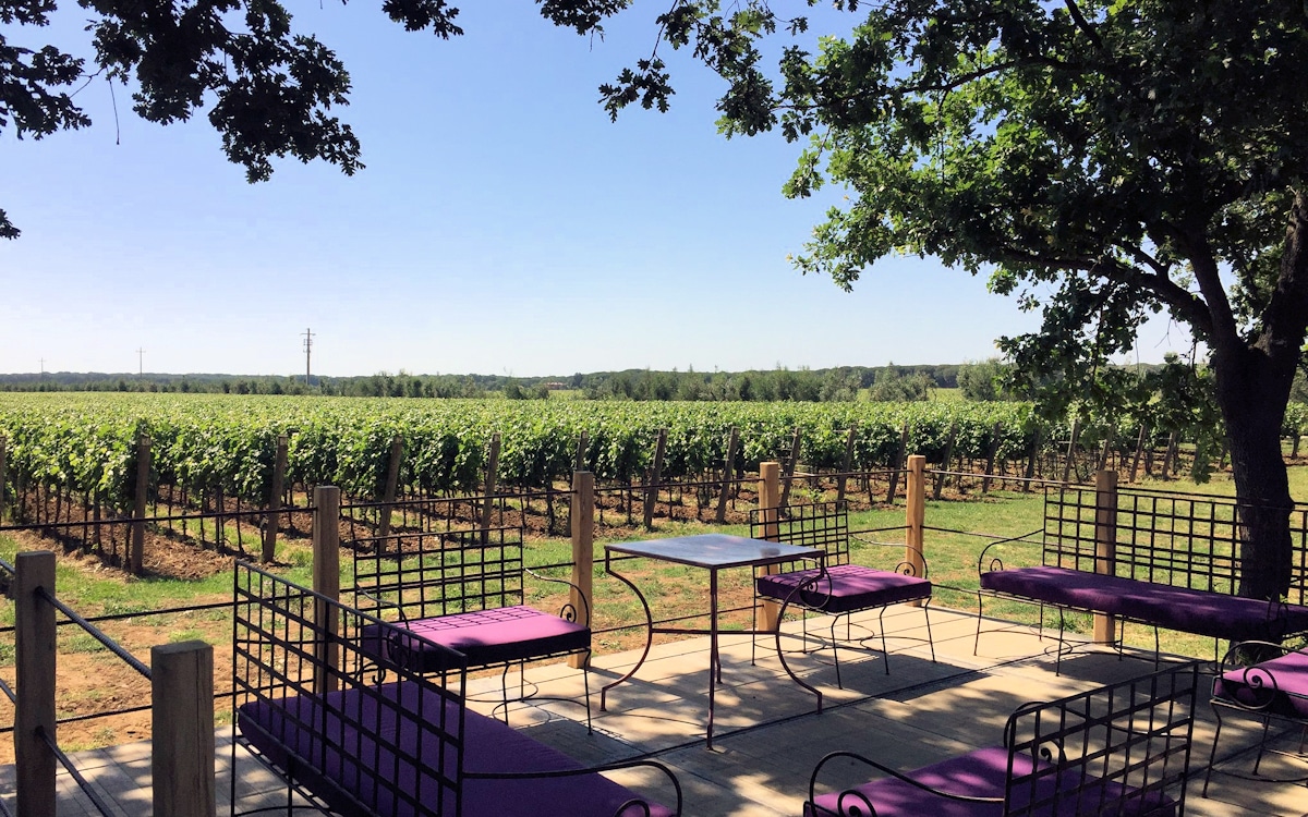 Weinprobe in Bolgheri - Weinkeller (22) Weinprobe in Bolgheri - Weinkeller (22)