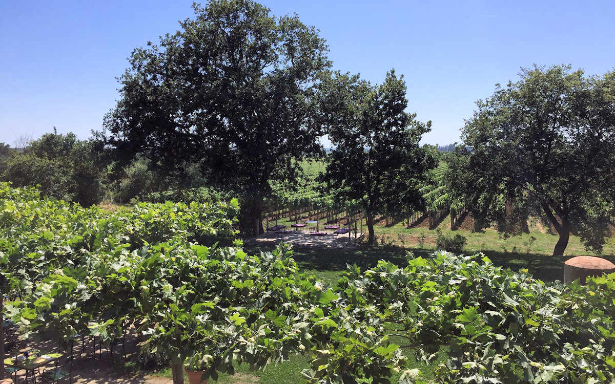 Weinprobe in Bolgheri - Weinkeller (23) Weinprobe in Bolgheri - Weinkeller (23)