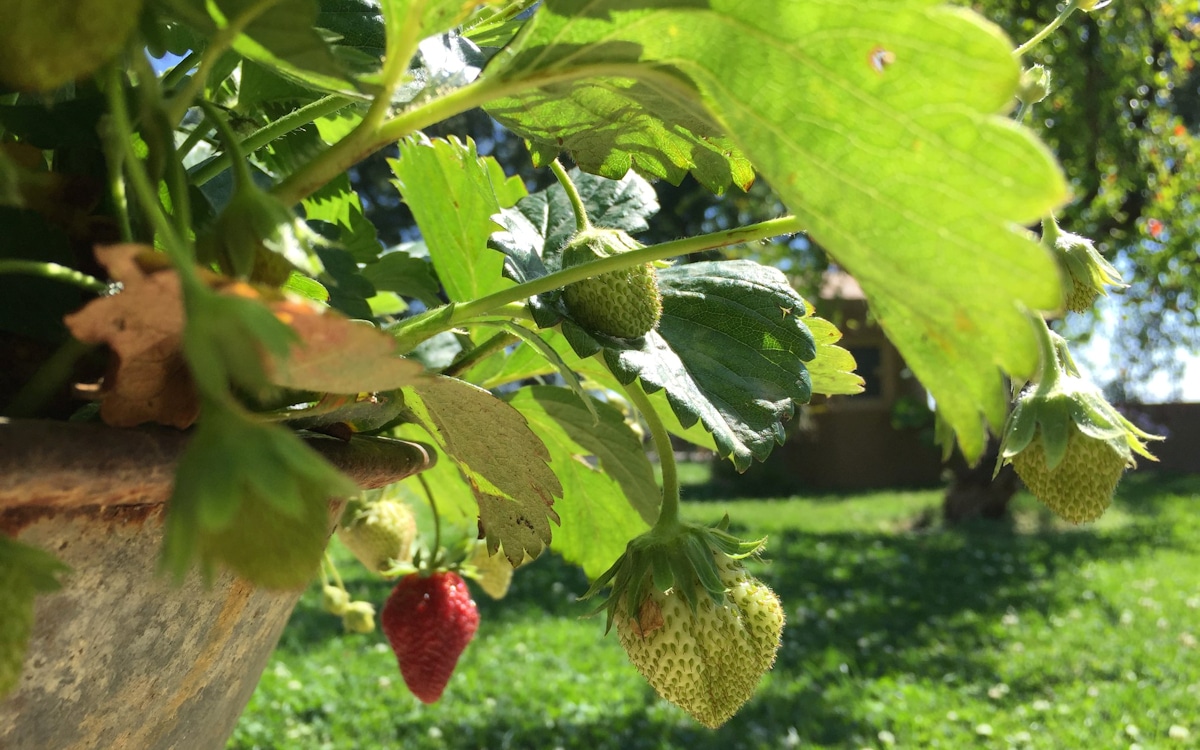 Weinprobe in Bolgheri - Weinkeller (24) Weinprobe in Bolgheri - Weinkeller (24)