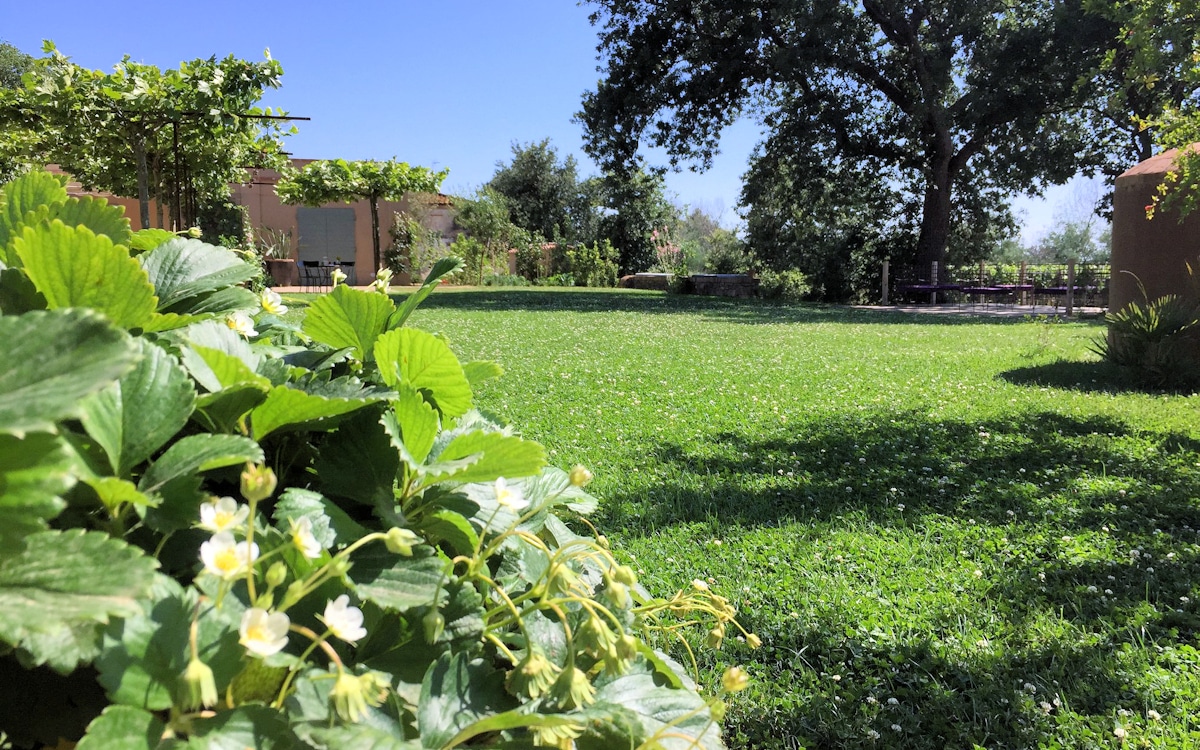 Weinprobe in Bolgheri - Weinkeller (27) Weinprobe in Bolgheri - Weinkeller (27)