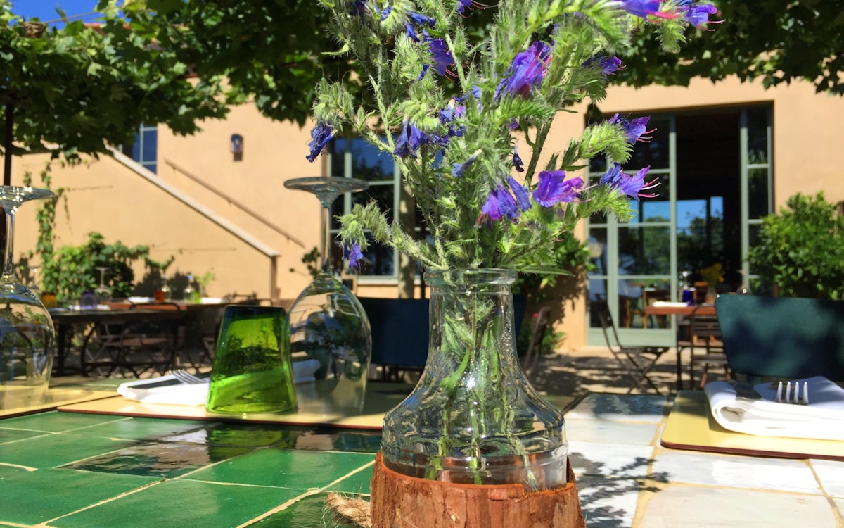 Weinprobe in Bolgheri - Weinkeller (28) Weinprobe in Bolgheri - Weinkeller (28)