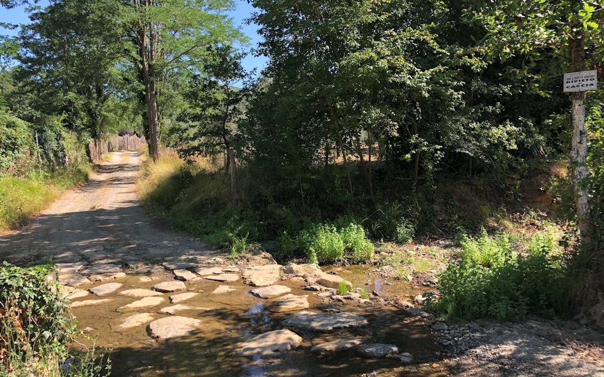 Weinprobe in Bolgheri - Weinkeller (33) Weinprobe in Bolgheri - Weinkeller (33)