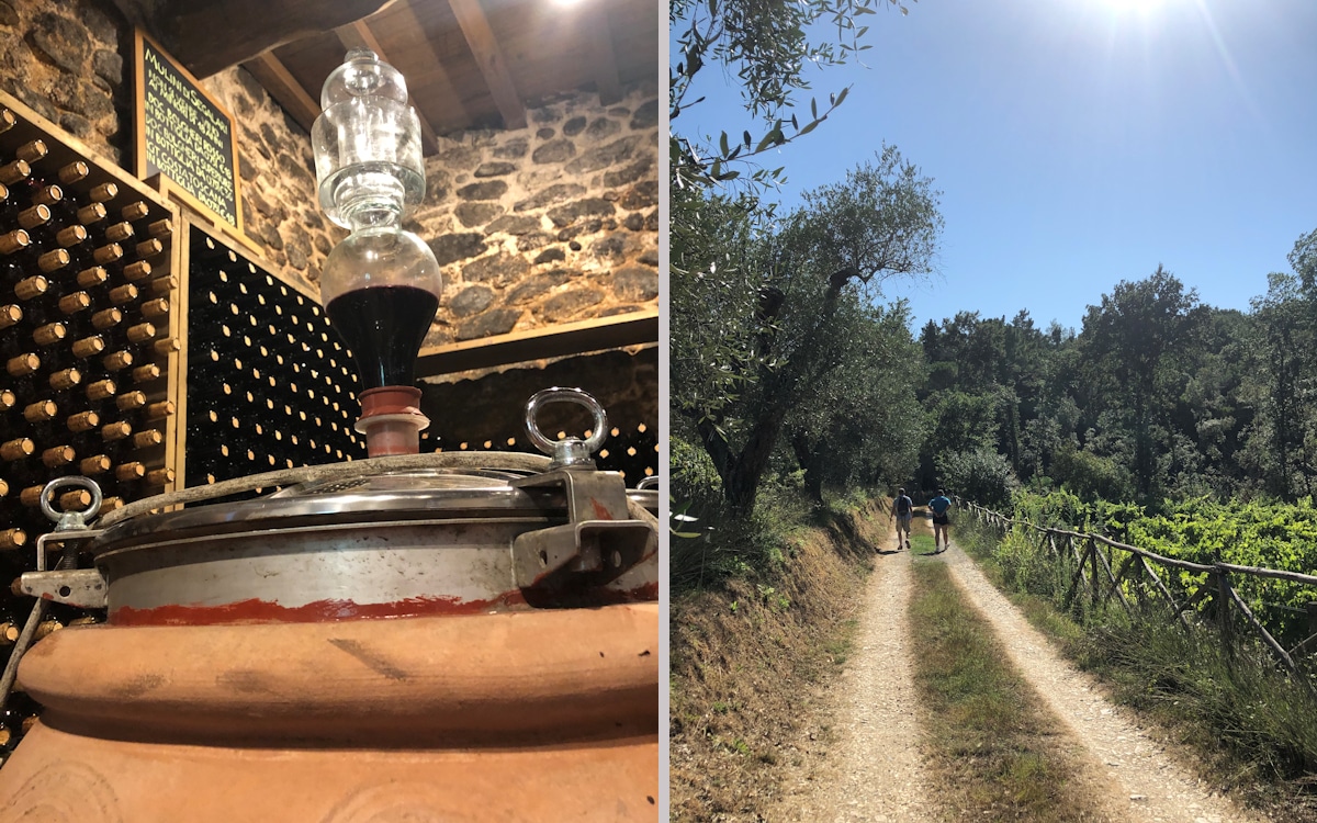 Weinprobe in Bolgheri - Weinkeller (36) Weinprobe in Bolgheri - Weinkeller (36)