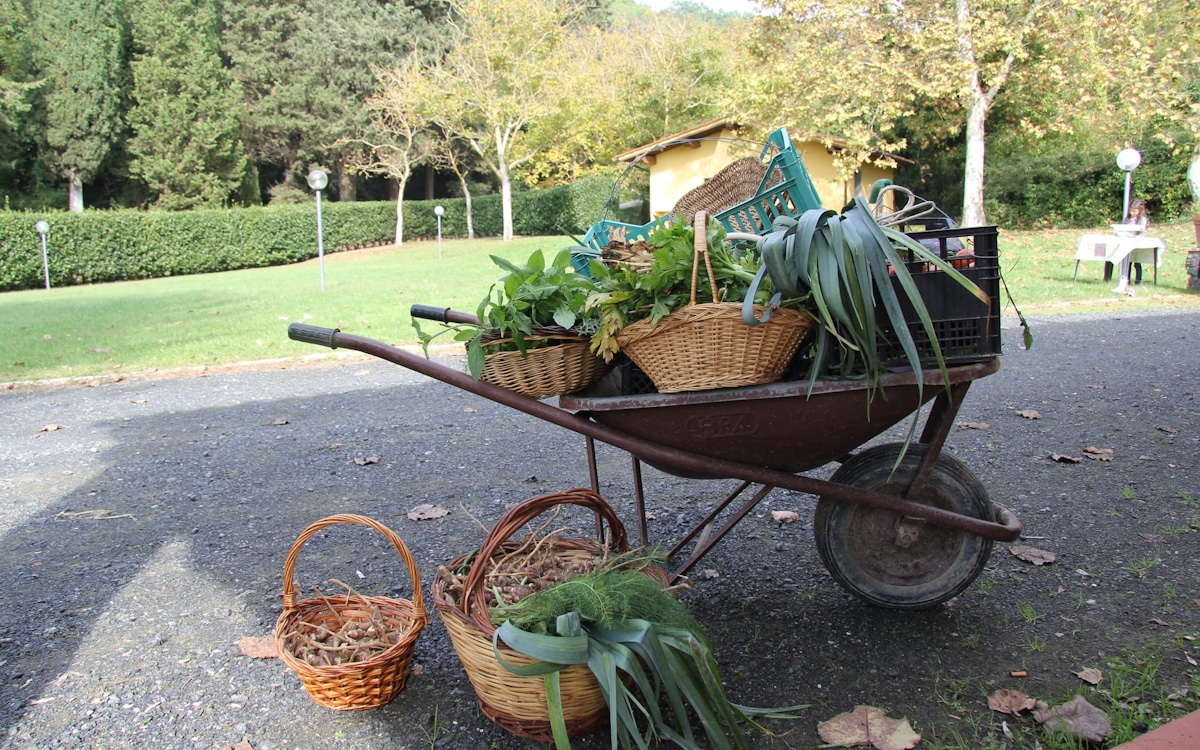 Bio-Kochkurs, Beute aus dem Gemüsegarten Bio-Kochkurs, Beute aus dem Gemüsegarten