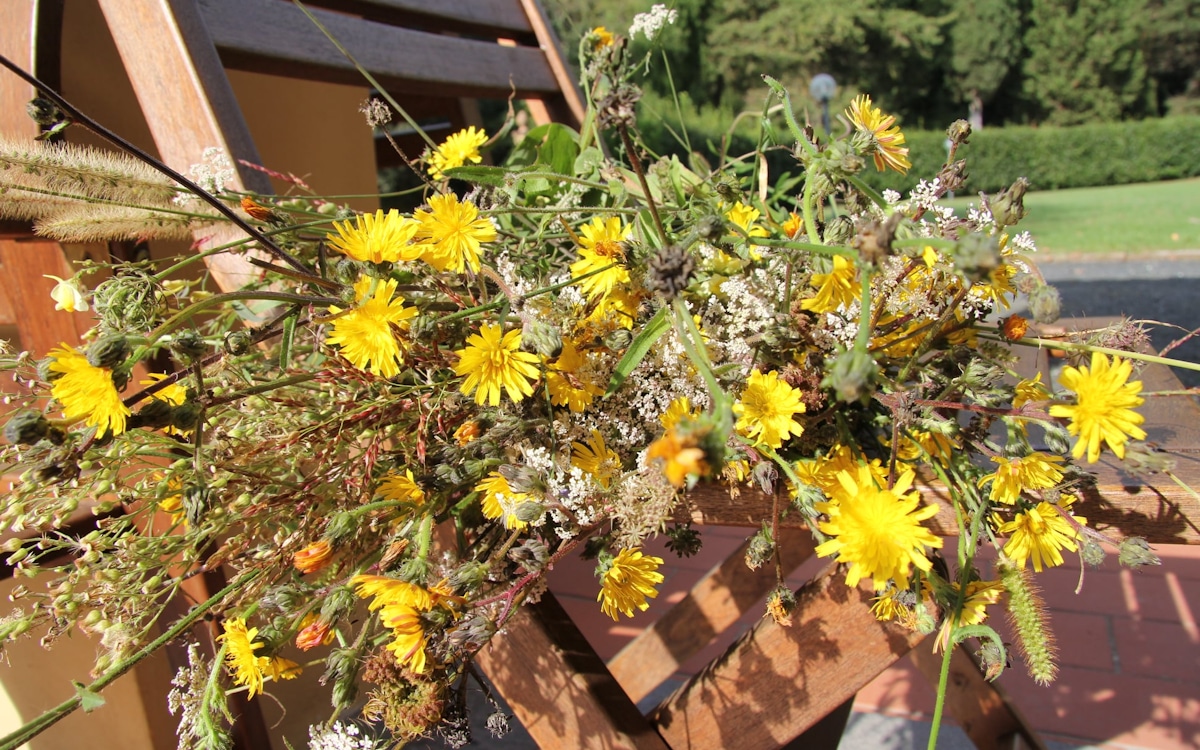 Bio-Kochkurs, Blumen aus dem Gemüsegarten Bio-Kochkurs, Blumen aus dem Gemüsegarten