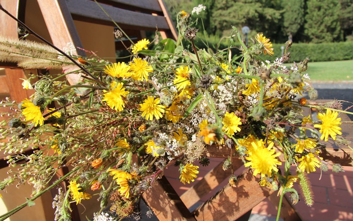 Bio-Kochkurs, Feldblumen in November Bio-Kochkurs, Feldblumen in November