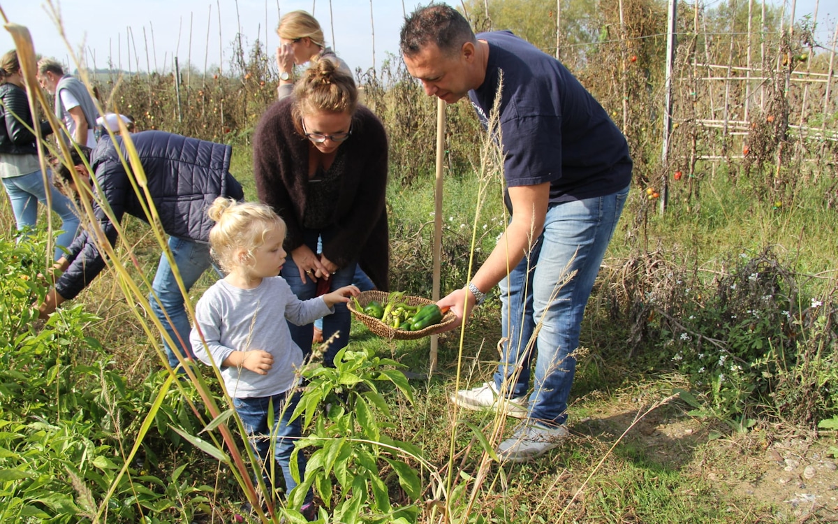 Bio-Kochkurs, Gemüsegarten (8) Bio-Kochkurs, Gemüsegarten (8)