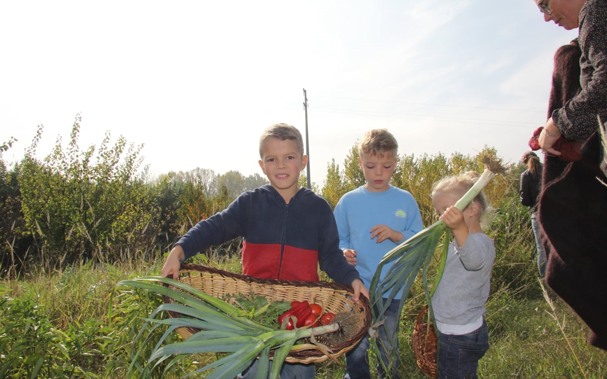 Bio-Kochkurs, Gemüsegarten in November (2) Bio-Kochkurs, Gemüsegarten in November (2)
